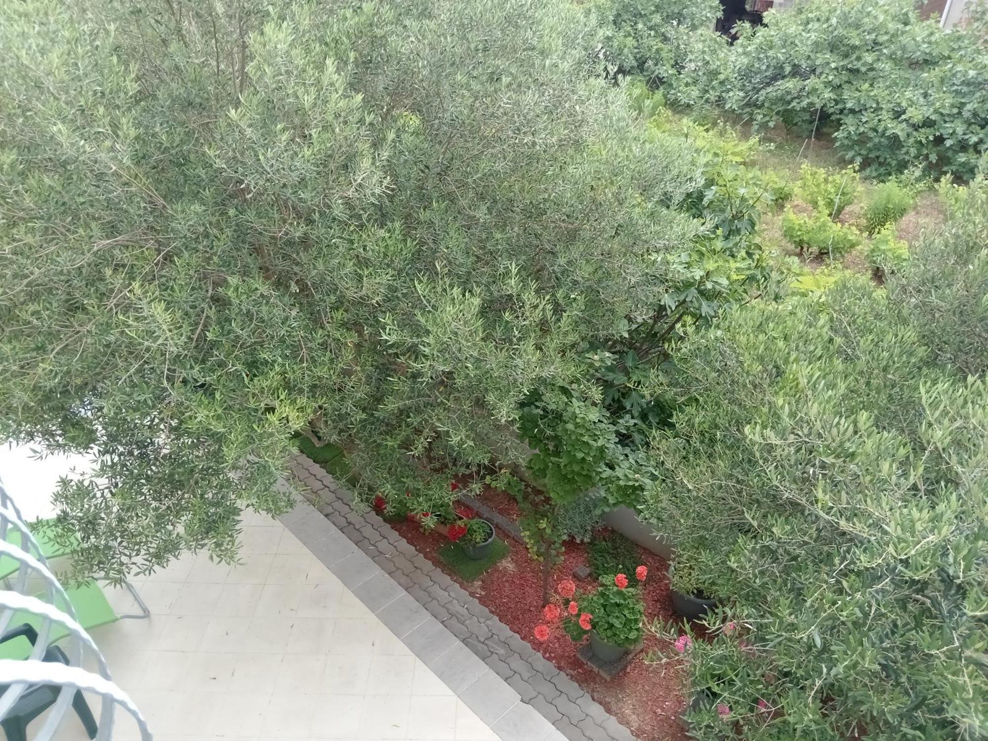 קרק Ana Rooms מראה חיצוני תמונה