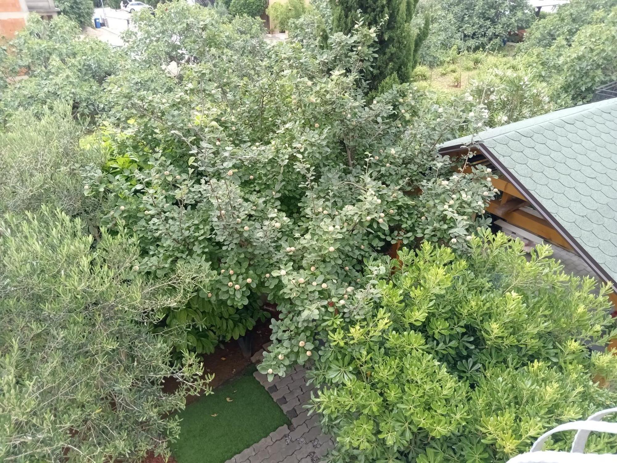 קרק Ana Rooms מראה חיצוני תמונה